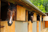 free Llanfachraeth stable construction quotes